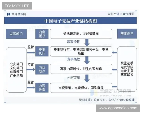 聚焦电竞直播生态探索游戏竞技与粉丝文化融合发展的新趋势