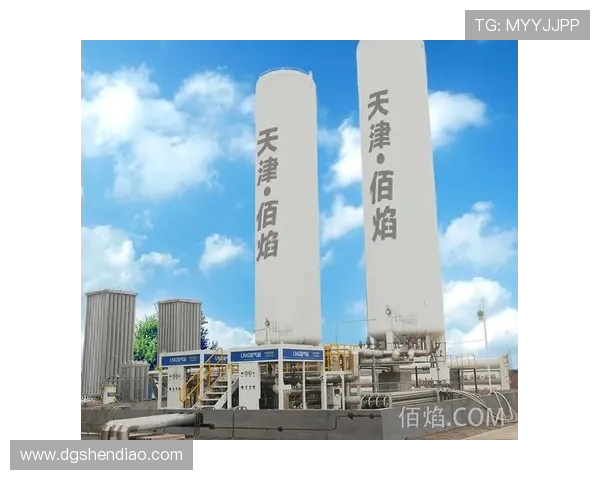 专业解析LNG市场的控制策略与应对措施探讨