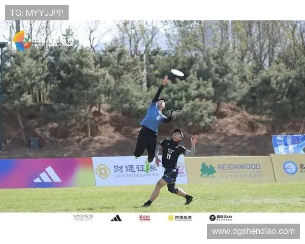 广州飞盘队技术分析与战术探讨提升团队竞技水平的关键因素