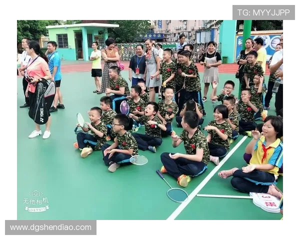 深圳羽毛球队的深度解析与控制策略揭秘