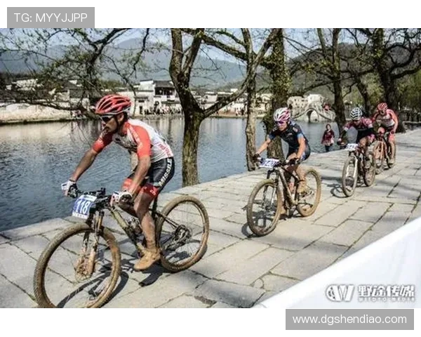 西安精英赛球队状态分析与表现评估全景回顾