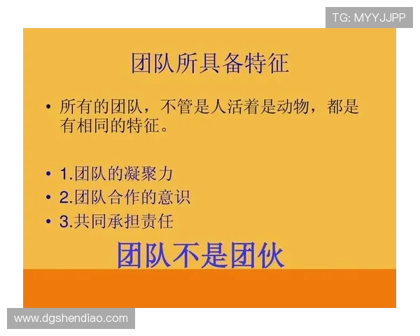 探索体育的无限魅力：如何通过运动提升身心健康与团队合作精神